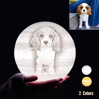 Custom 3D Printing Photo Jupiter Lamp With Your Text - For Pet Lover - Touch Two Colors(10cm-20cm)